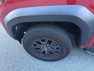 2025 Toyota 4Runner TRD Sport Premium 4WD (Natl)