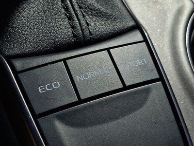 2023 Toyota Camry SE Auto (Natl)