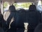 2019 Subaru Forester 2.5i