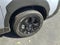 2025 Subaru Forester Wilderness CVT