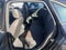 2022 Volkswagen Jetta GLI Autobahn Manual
