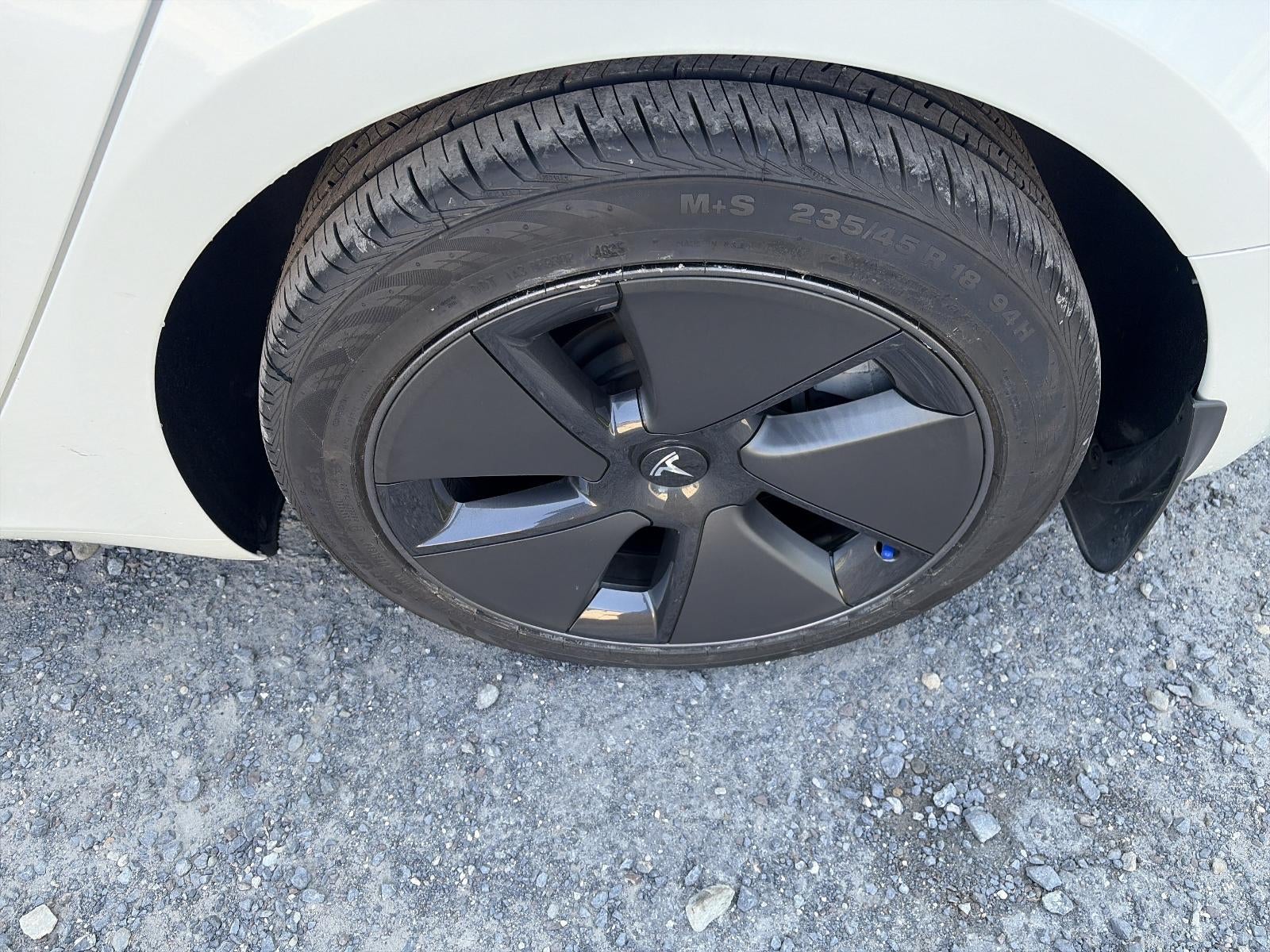 2023 Tesla Model 3 RWD