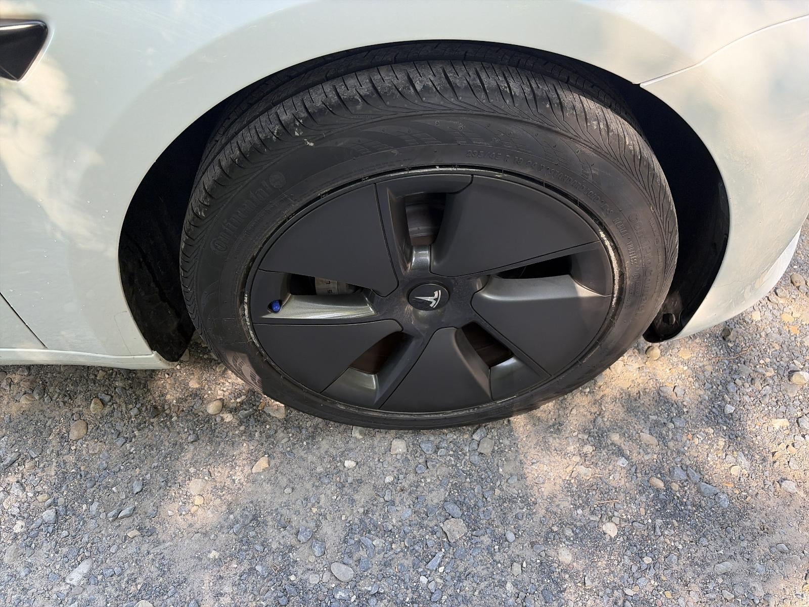 2023 Tesla Model 3 RWD