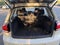 2014 Volkswagen Golf 4dr HB Auto w/Conv & Sunroof PZEV