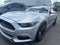 2016 Ford Mustang 2dr Fastback GT Premium