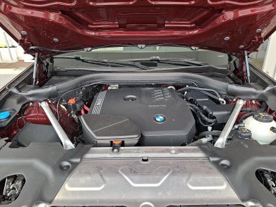 2023 BMW X3 xDrive30i Sports Activity Vehicle