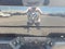 2018 RAM 1500 Big Horn 4x4 Crew Cab 5'7" Box
