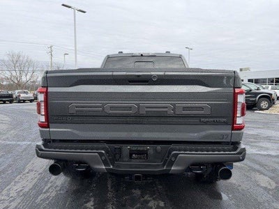 2021 Ford F-150 Raptor 4WD SuperCrew 5.5' Box