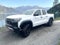 2023 Chevrolet Colorado Crew Cab Short Box 4-Wheel Drive Trail Boss