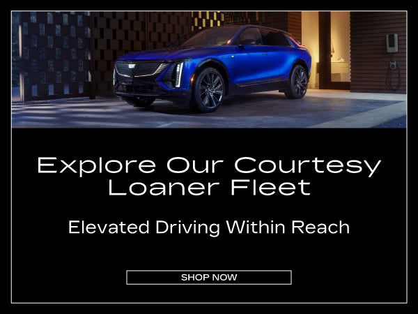 Explore Our Courtesy Loaner Fleet