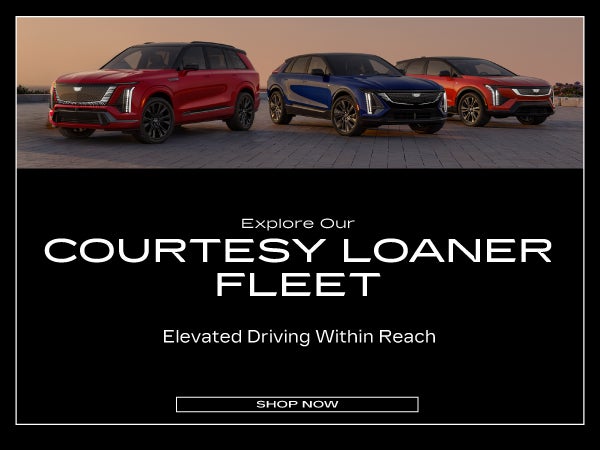 Explore Our Courtesy Loaner Fleet